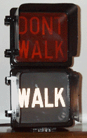 9 inch Aluminum Eagle Pedestrian Signal with Glass Lenses 